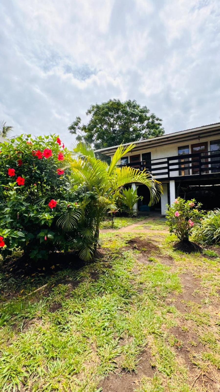 Mata Nui Eco Hostel Hanga Roa Kültér fotó